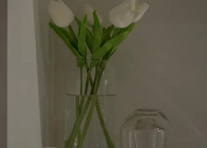 New Bazaar Azure * تيرانا