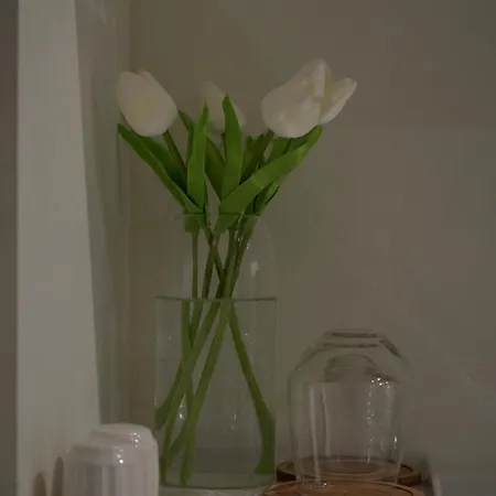 New Bazaar Azure * Tirana